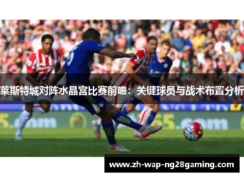 莱斯特城对阵水晶宫比赛前瞻:关键球员与战术布置分析