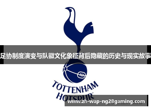 足协制度演变与队徽文化象征背后隐藏的历史与现实故事