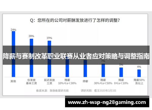 降薪与赛制改革职业联赛从业者应对策略与调整指南 降薪与赛制改革职业联赛从业者应对策略与调整指南