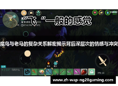 魔鸟与老马的复杂关系解密揭示背后深层次的情感与冲突