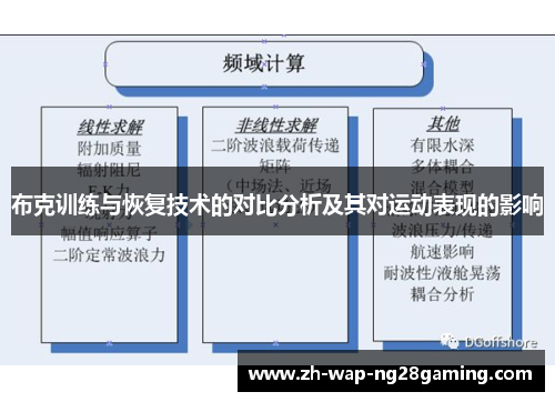 布克训练与恢复技术的对比分析及其对运动表现的影响