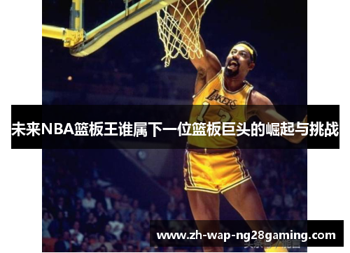 未来NBA篮板王谁属下一位篮板巨头的崛起与挑战 未来NBA篮板王谁属下一位篮板巨头的崛起与挑战