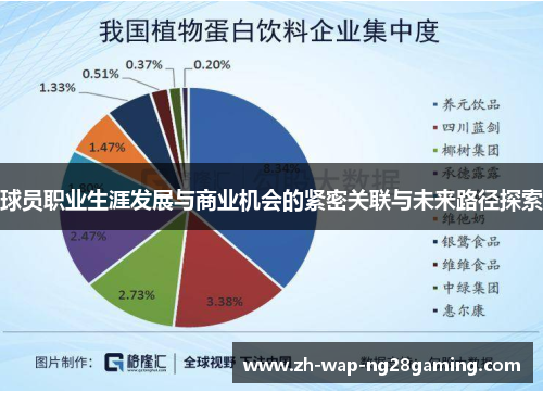 球员职业生涯发展与商业机会的紧密关联与未来路径探索