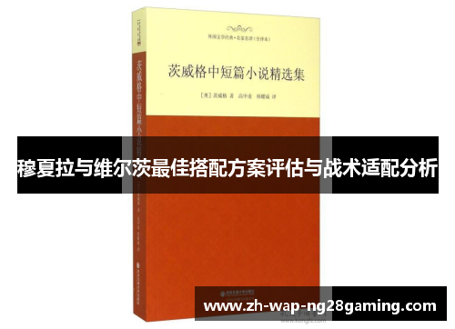穆夏拉与维尔茨最佳搭配方案评估与战术适配分析